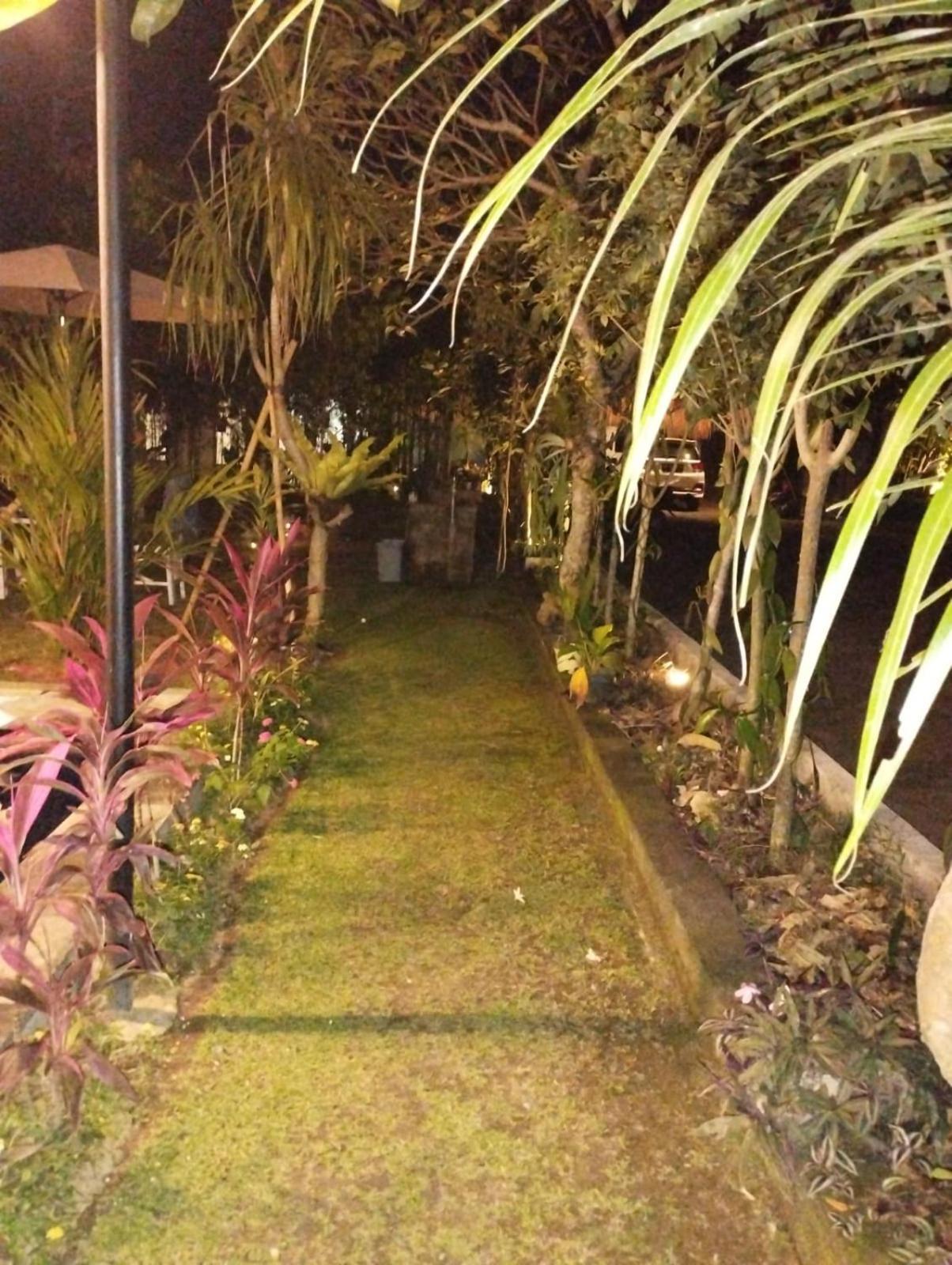 Puri Amartha Lejlighed Ubud Eksteriør billede