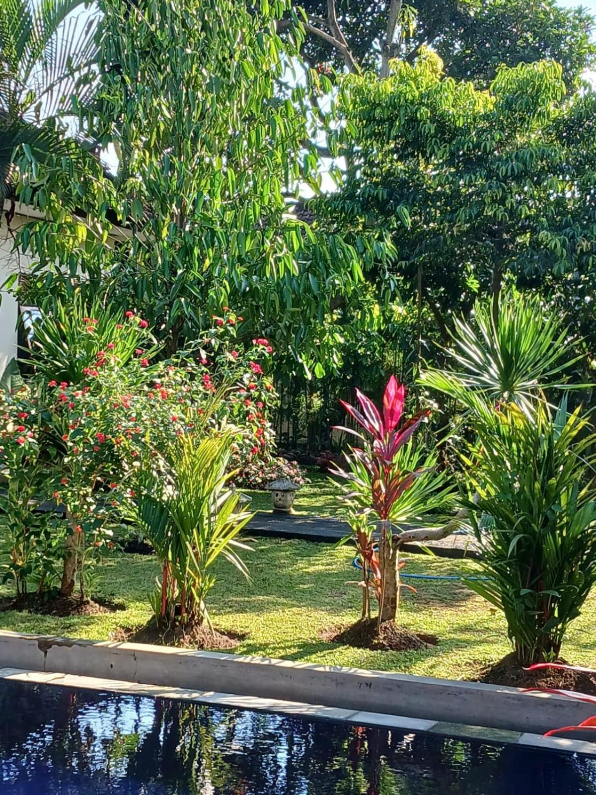 Puri Amartha Lejlighed Ubud Eksteriør billede
