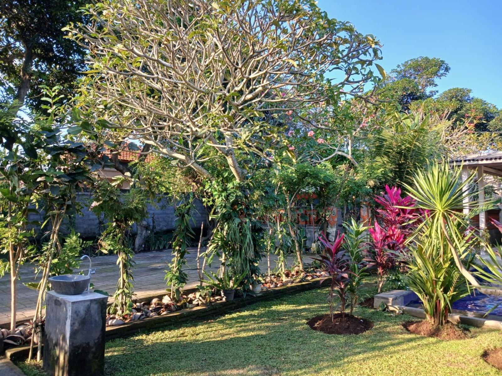Puri Amartha Lejlighed Ubud Eksteriør billede